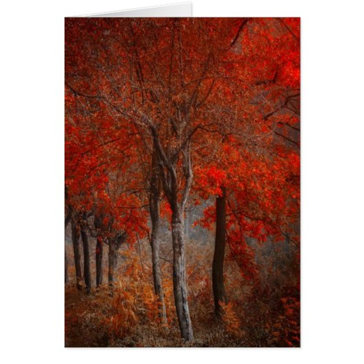 Vintage Forest Scene Cards (Front)