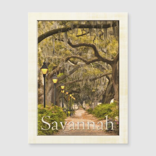 Vintage Forsyth Park - Savannah, GA, Photography (Front)