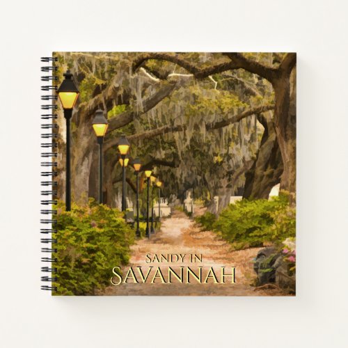 Vintage Forsyth Park _ Savannah GA Photography Notebook