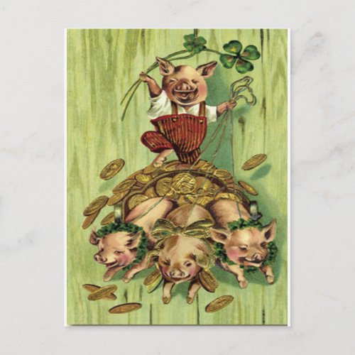 Vintage Four Leaf Clover Pig Gold St Patricks Day Postcard