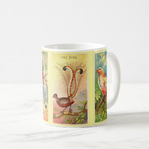 Vintage Four Tropical Birds Illustration Lyre Bird Coffee Mug