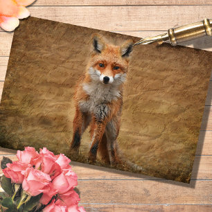 Vintage Fox with Script Overlay Decoupage Paper