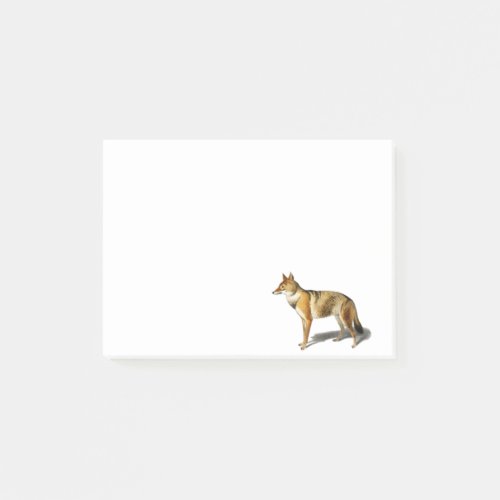 Vintage FOX WOLF golden Jackal illustration Post_it Notes