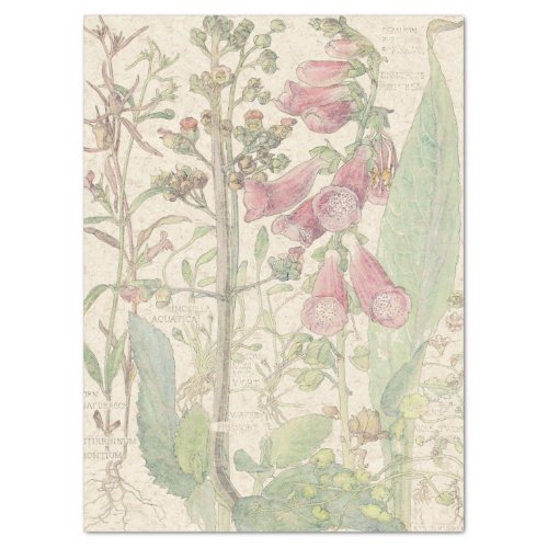 Vintage Foxglove Wildflower Flowers Tissue Paper