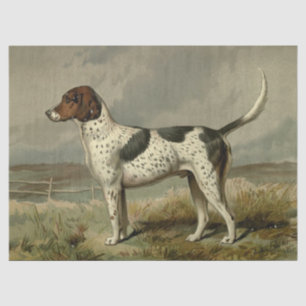 Vintage Foxhound Tissue Paper