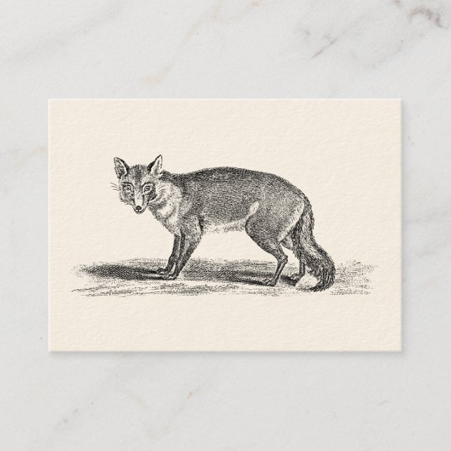Vintage Foxy Fox Illustration - 1800's Foxes Business Card (Front)
