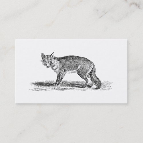 Vintage Foxy Fox Illustration - 1800's Foxes Business Card