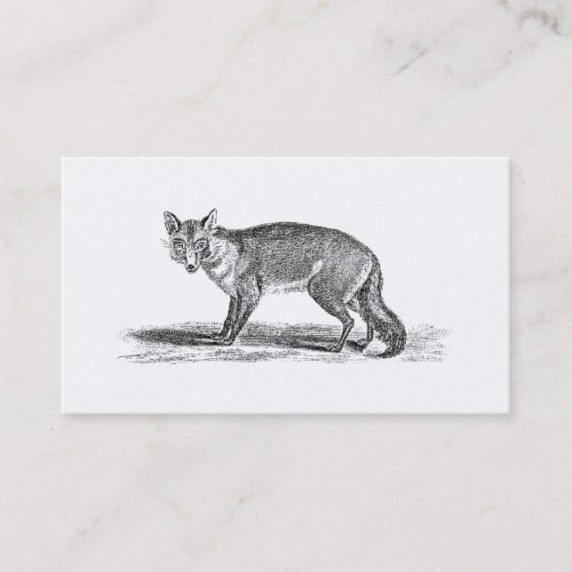 Vintage Foxy Fox Illustration - 1800's Foxes Business Card (Front)