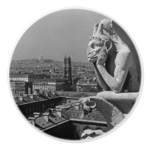 Vintage France Paris Notre Dame Cathedral thinker Ceramic Knob