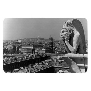 Vintage France Paris Notre Dame Cathedral thinker Magnet