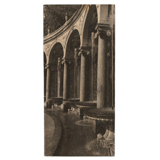 Vintage France Versailles palace Colonnade Grove Wood Flash Drive