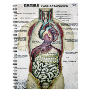 Vintage French Anatomy Notebook