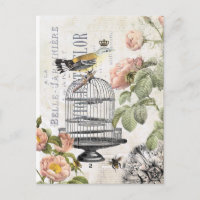 Vintage French bird postcard