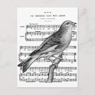 Vintage French Bird Song Music Postcard