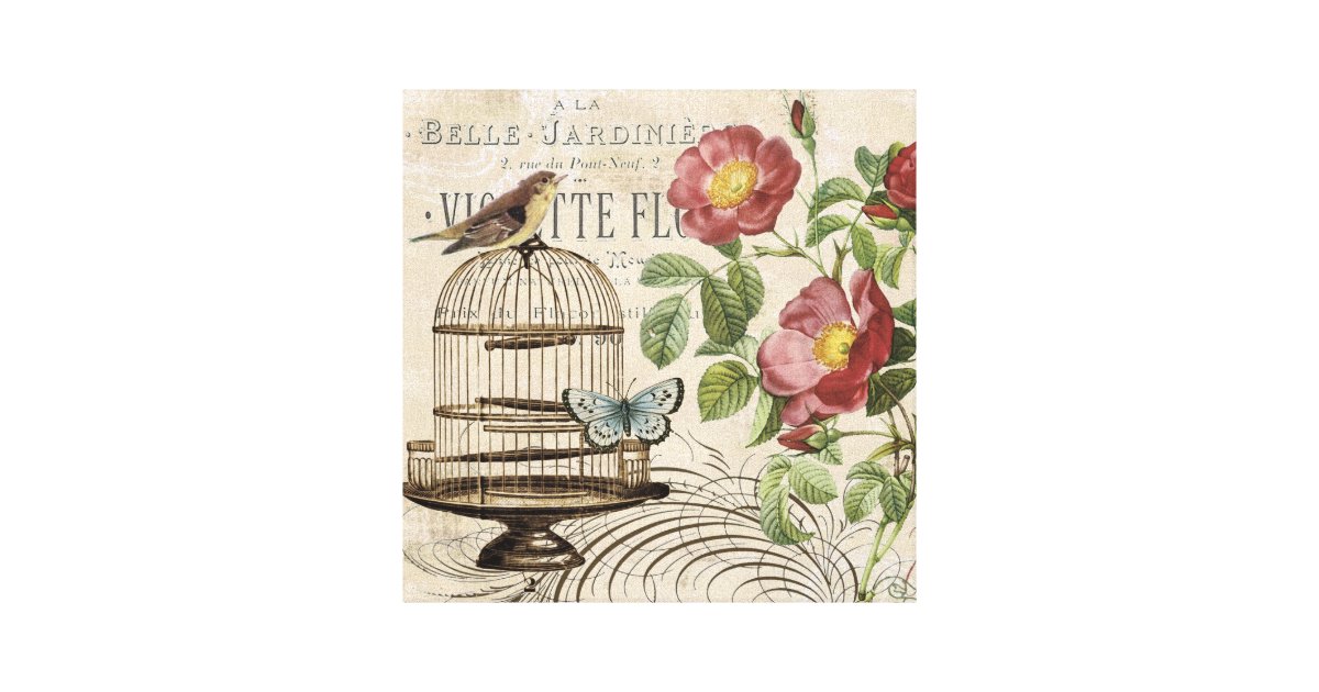 Vintage French birdcage stretched canvas | Zazzle