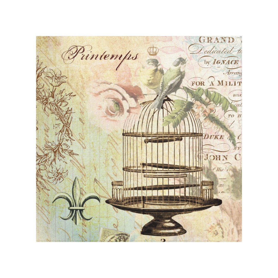Vintage French birdcage stretched canvas Zazzle