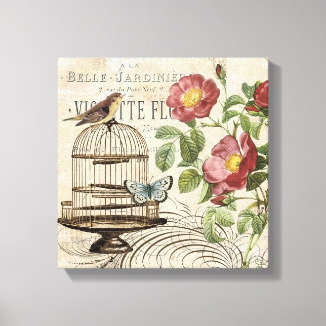 Vintage French birdcage stretched canvas Print (Front)