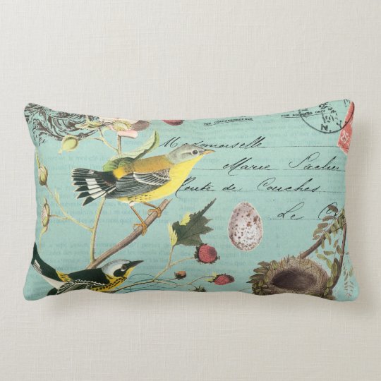 Vintage French Birds pillow