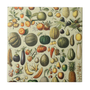 Vintage French Botanical Fruit Poster Art Ceramic Tile