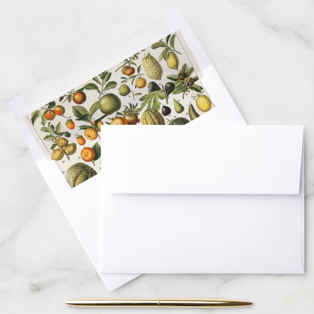 Vintage French Botanical Fruit Poster Art Envelope Liner (Desk)