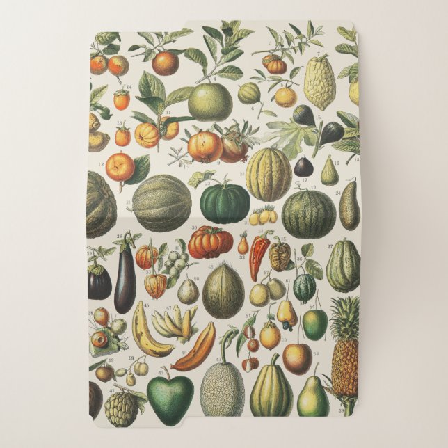Vintage French Botanical Fruit Poster Art File Folder (Outside Left)