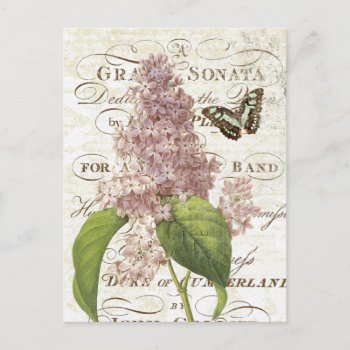 Vintage French Botanical Lilac Postcard by GIFTSBYHEATHERMYERS at Zazzle