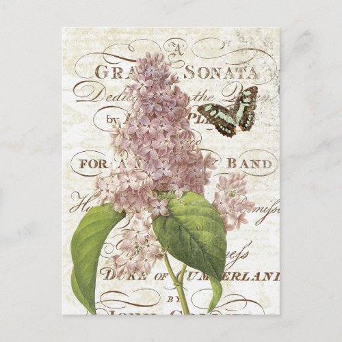 Vintage French Botanical lilac postcard