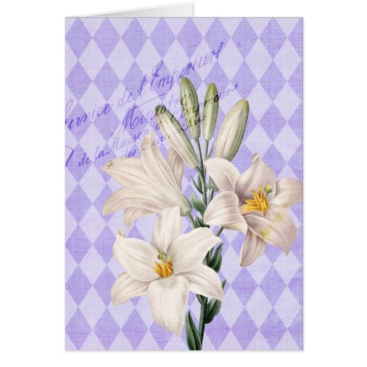 Vintage French Botanical Lilies Cards (Front)