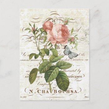 Vintage French Botanical Rose Postcard by GIFTSBYHEATHERMYERS at Zazzle