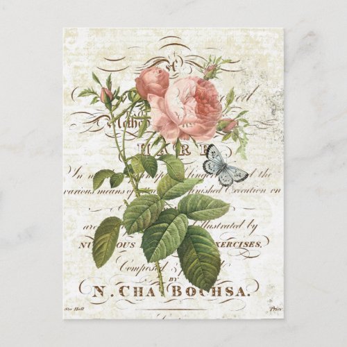 Vintage French Botanical rose postcard