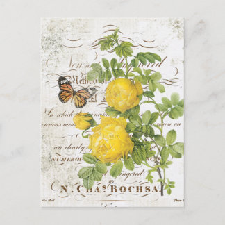 Vintage French Botanical rose postcard