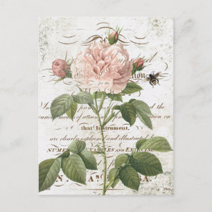 Vintage French Botanical rose postcard