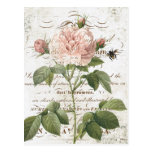 Vintage French bee postcard | Zazzle