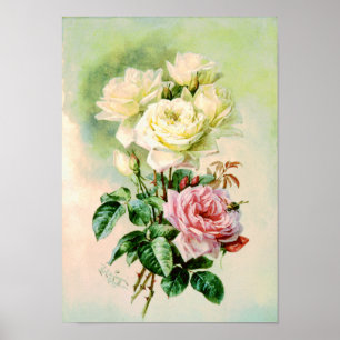 Vintage French Bridal Roses Poster