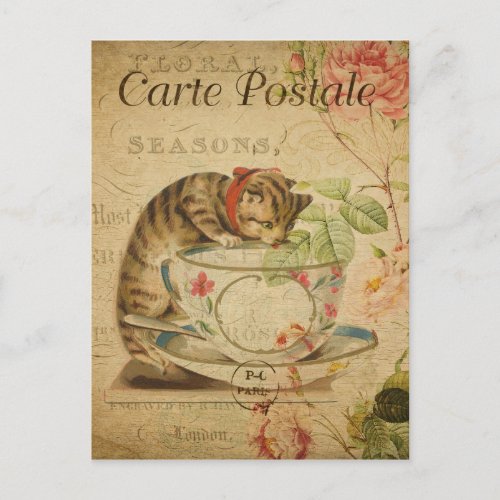 Vintage French Cat Drinking from Tea Cup Postcard