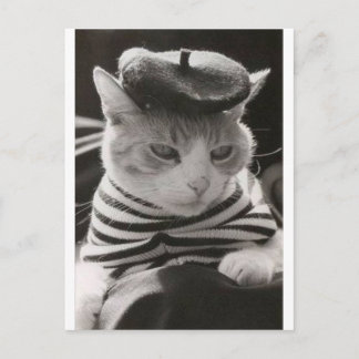 Vintage french cat postcard