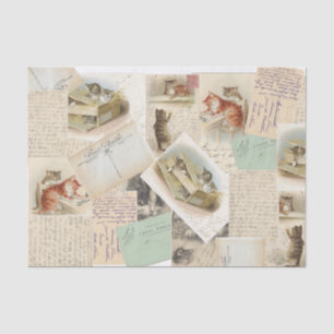 Vintage French Cat Postcard Tissue Paper