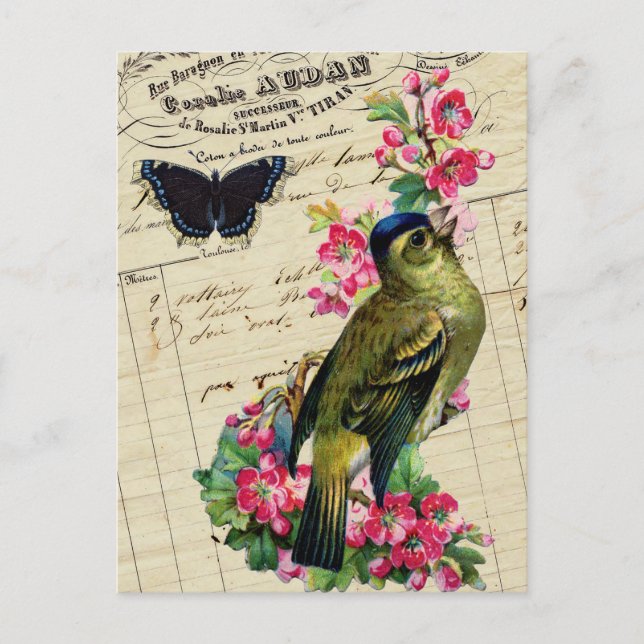 Vintage French Chic Spring Bird Collage Postcard (Front)