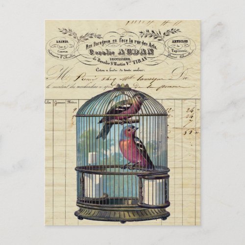 Vintage French Chic Victorian Birdcage Love Birds Postcard