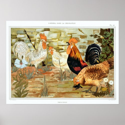 Vintage French Chickens Illustration Poster