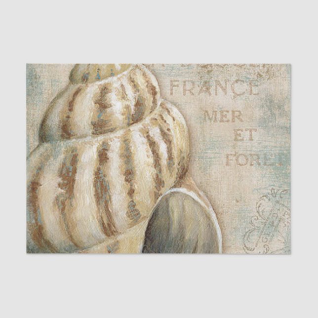 Vintage French Conch Shell Tissue Paper (Front)