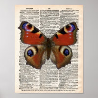 Vintage French dictionary with Peacock butterfly