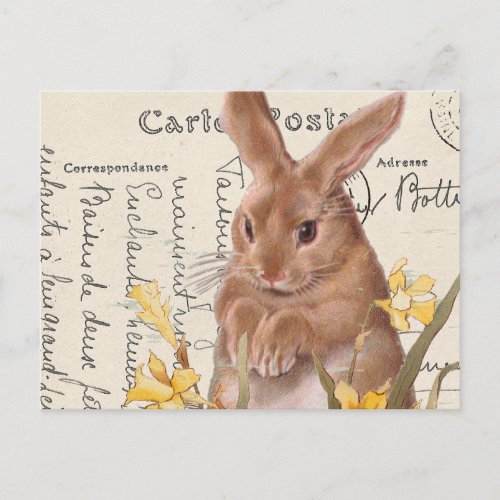 Vintage French Easter Bunny Daffodil Postcard