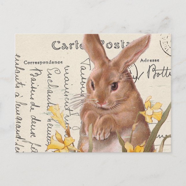 Vintage French Easter Bunny Daffodil Postcard (Front)
