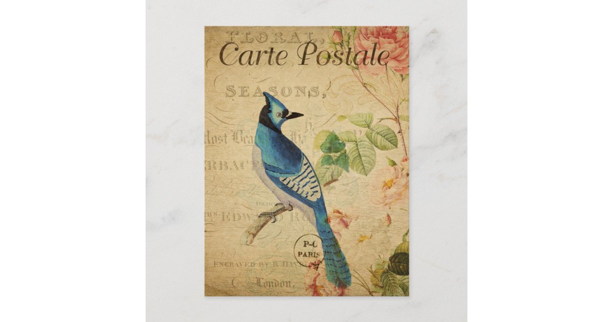 Vintage French Ephemera Blue Jay Bird Pink Roses P Postcard