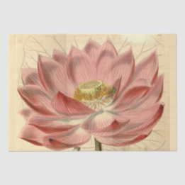 Vintage French Floral Ephemera Decoupage Pink Tiss Tissue Paper