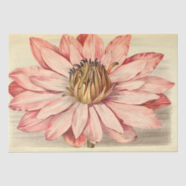 Vintage French Floral Ephemera Decoupage Pink Tissue Paper