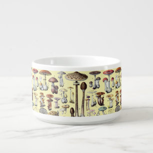 Vintage French Mushroom Cottagecore Botanical Art Bowl