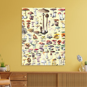 Vintage French Mushroom Cottagecore Botanical Art Canvas Print