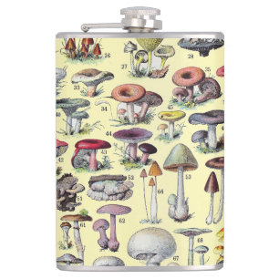 Vintage French Mushroom Cottagecore Botanical Art Flask